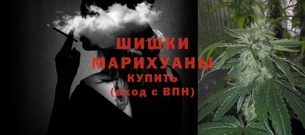 дурь Киреевск