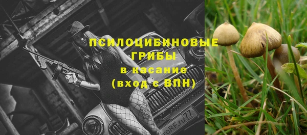 дурь Киреевск