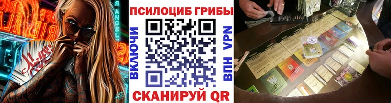 Псилоцибиновые грибы Cubensis  Купить где  Свободный 